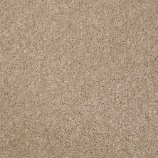 Shaw Floors Roll Special Xv540 Desert Trail 00107_XV540