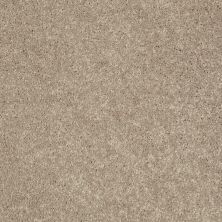 Shaw Floors Roll Special Xv540 Weathered Wood 00300_XV540