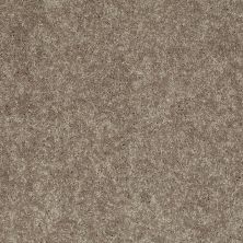 Shaw Floors Roll Special Xv540 Olive Grove 00320_XV540