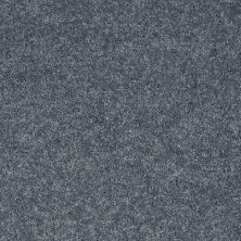 Shaw Floors Roll Special Xv540 Blue Bird 00421_XV540