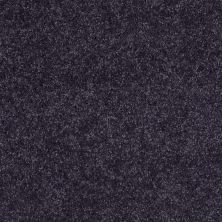 Shaw Floors Roll Special Xv540 Nautical Navy 00422_XV540
