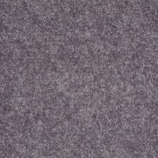 Shaw Floors Roll Special Xv540 Pewter 00521_XV540