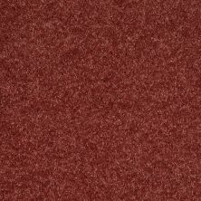 Shaw Floors Roll Special Xv540 Copper 00620_XV540