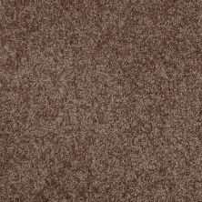 Shaw Floors Roll Special Xv540 Mocha Chip 00704_XV540