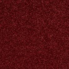 Shaw Floors Roll Special Xv540 Cherry Pie 00820_XV540