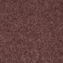 Shaw Floors Roll Special Xv540 Plum Berry 00920_XV540
