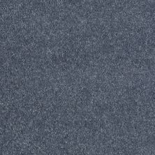 Shaw Floors Roll Special Xv578 Pacific 00401_XV578