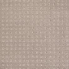 Shaw Floors Roll Special Xv621 Grey Dove 00500_XV621