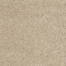 Shaw Floors Roll Special Xv630 Putty 00700_XV630