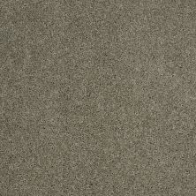 Shaw Floors Roll Special Xv789 Silver Sage