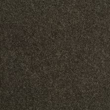 Shaw Floors Roll Special Xv789 Garden Retreat