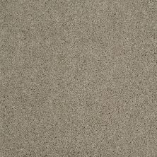 Shaw Floors Roll Special Xv789 Gray Flannel