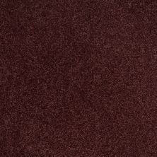 Shaw Floors Roll Special Xv789 Berry