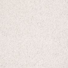 Shaw Floors Roll Special Xv863 Halo 00100_XV863
