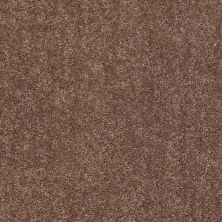 Shaw Floors Roll Special Xv863 Cattail 00702_XV863