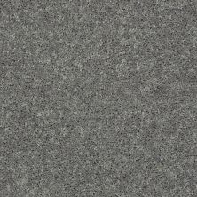 Shaw Floors Roll Special Xv864 Ink Spot 00501_XV864