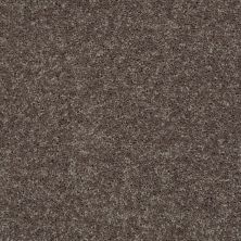 Shaw Floors Roll Special Xv865 Driftwood 00703_XV865