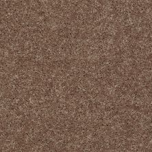 Shaw Floors Roll Special Xv867 Granola 00701_XV867