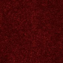 Shaw Floors Roll Special Xv867 Red Wine 00801_XV867