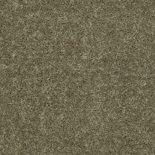 Shaw Floors Roll Special Xv868 Aloe