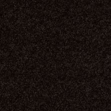 Shaw Floors Roll Special Xv868 Armour