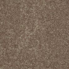 Shaw Floors Roll Special Xv868 Hearth Stone