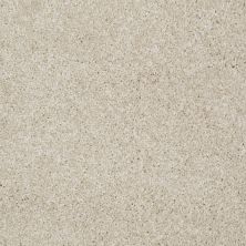 Shaw Floors Roll Special Xv893 Venetian Tile
