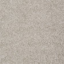 Shaw Floors Roll Special Xv893 Abalone