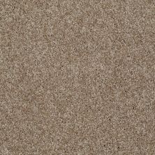 Shaw Floors Roll Special Xv893 Bungalow