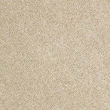 Shaw Floors Roll Special Xv925 Dunes