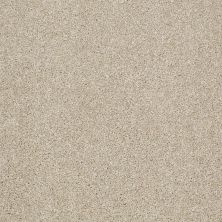 Shaw Floors Roll Special Xv925 Frost