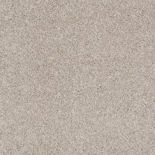 Shaw Floors Roll Special Xv925 Mist