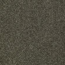 Shaw Floors Roll Special Xv925 Garden Retreat