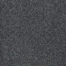 Shaw Floors Roll Special Xv925 Indigo