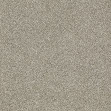 Shaw Floors Roll Special Xv925 Gray Flannel