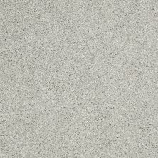 Shaw Floors Roll Special Xv925 Sea Salt