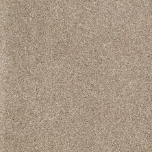 Shaw Floors Roll Special Xv925 Mushroom