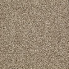 Shaw Floors Roll Special Xv925 Prairie