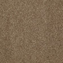 Shaw Floors Roll Special Xv925 Travertine