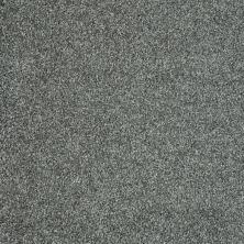 Shaw Floors Roll Special Xv974 Caribbean