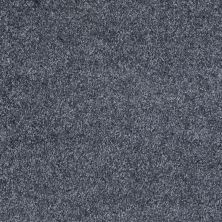 Shaw Floors Roll Special Xv974 North Shore