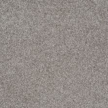 Shaw Floors Roll Special Xv974 Pewter