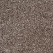 Shaw Floors Roll Special Xv974 Dockside