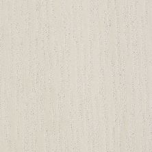 Shaw Floors Roll Special Xv987 Canvas