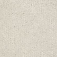 Shaw Floors Roll Special Xv988 Canvas