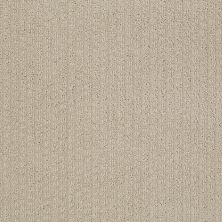 Shaw Floors Roll Special Xv988 Agate