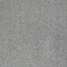 Shaw Floors Roll Special Xv998 Picture Frame