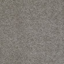 Shaw Floors Roll Special Xv998 Barn Wood