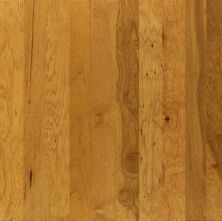 Shaw Floors Shaw Hardwoods Heathrow Buckskin 00215_XW019
