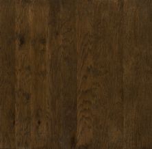 Shaw Floors Shaw Hardwoods Heathrow Bison 00944_XW019